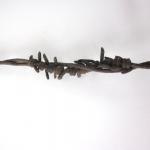 Rusty Barbed Wire Heart -Th..